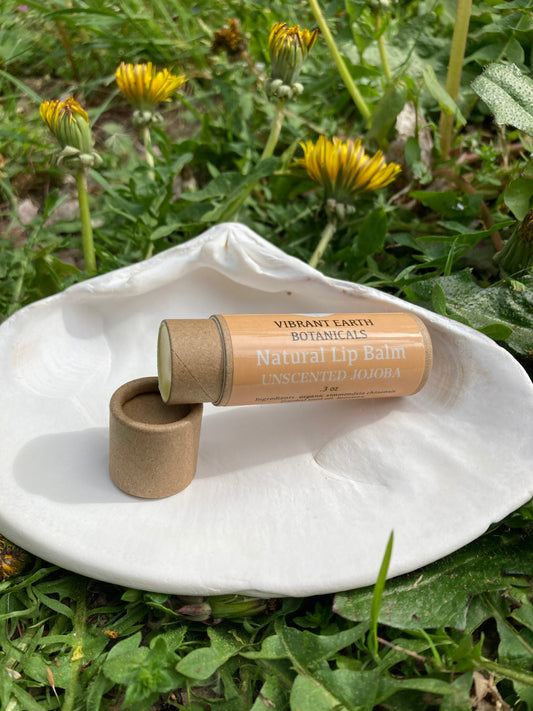 Unscented Jojoba Lip Balm in plastic-free tube