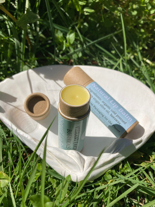 Unscented Olive Lip Balm in plastic-free tube